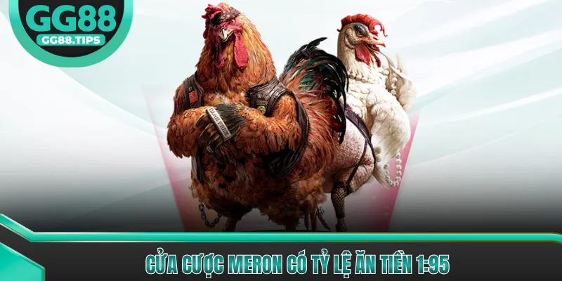 Cửa cược Meron có tỷ lệ ăn tiền 1:95