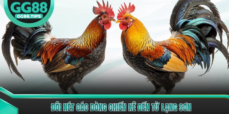 Đôi nét các dòng chiến kê đến từ Lạng Sơn