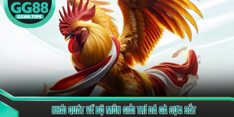 Khái quát về bộ môn giải trí đá gà cựa sắt 