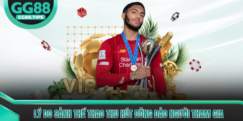 Lý do sảnh thể thao thu hút đông đảo người tham gia