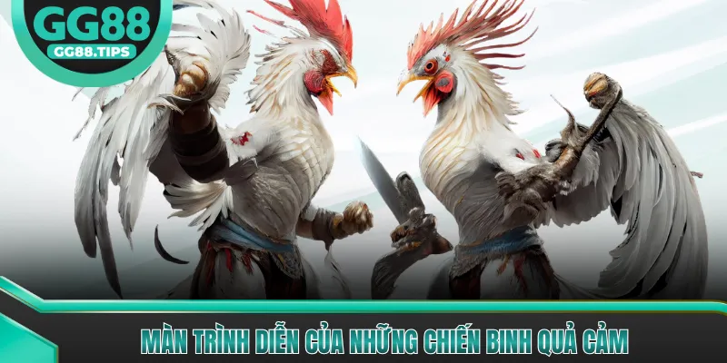 Màn trình diễn của những chiến binh quả cảm