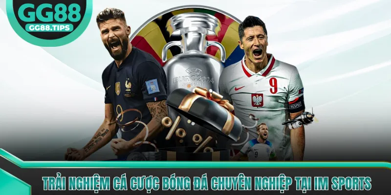 Trải nghiệm cá cược bóng đá chuyên nghiệp tại IM sports