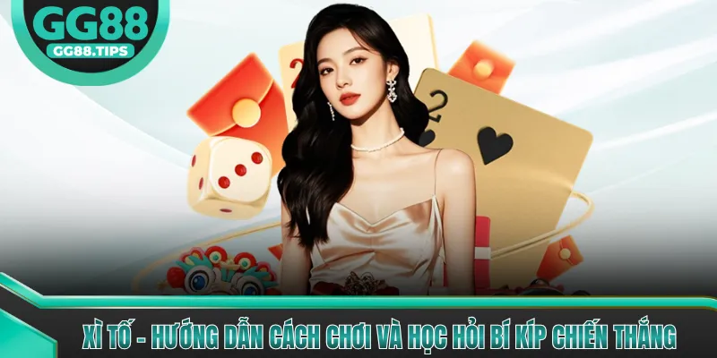 Xì Tố - Hướng Dẫn Cách Chơi Và Học Hỏi Bí Kíp Chiến Thắng